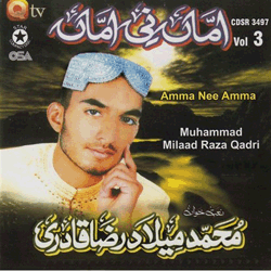Milad Raza Qadri - Amma Nee Amma
